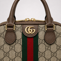 GC Green-Red Stripe - Monogram Statement Handbag